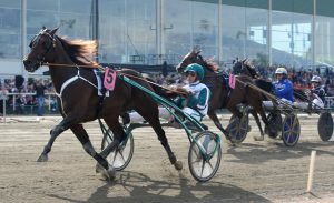 Nilsson: “Elitloppsfinalisten liras”
