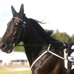 Berglund: “Högre odds än väntat på bästa draget”