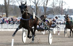 Ludvigsson: “Dags att Global vinner!”