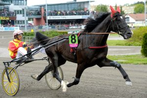 Ludvigsson: “Min vinnare är starkast i långa loppet”