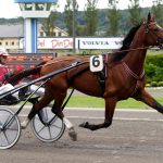 Ludvigsson: “Får vi skygglappar bästa speldraget?”