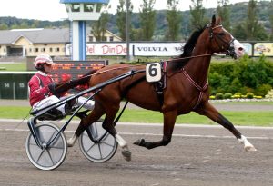 Ludvigsson: “Bästa vinnaren från spets”