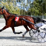 Nilsson: “Det var en läcker årsdebut”