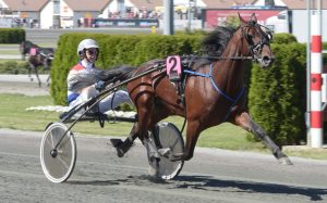 Olsson: “Känslan säger Cokstile”
