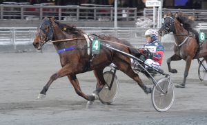 Nilsson: “Echo med skor – hemmatränare med två drag”
