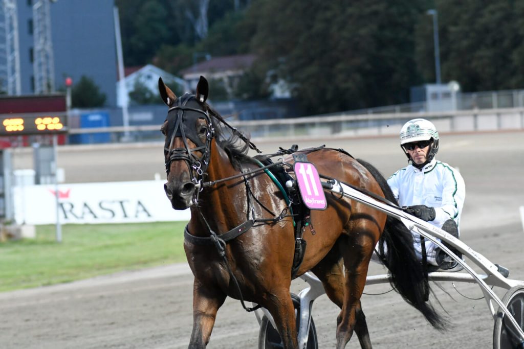 Nilsson: "Flemming gästar med en vinnare" 1 3246042852