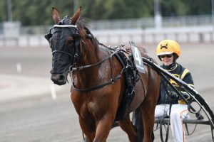Nilsson: “Peter och Peter”