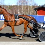 Nilsson: “Norsk kriterietvåa och tuff etta i storloppet”