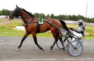Nilsson: “Bra chans till fint odds”