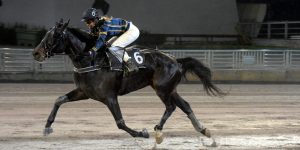 Nilsson: “Vinner med buller och bang”