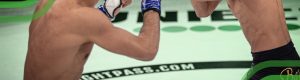 Topprankade svenska MMA fighters