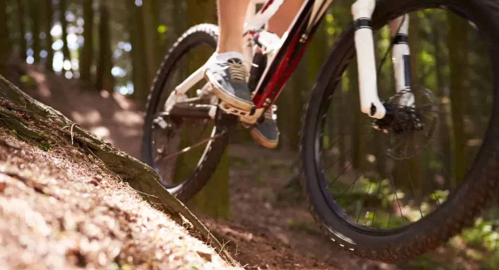 Mondiaux de VTT 2025